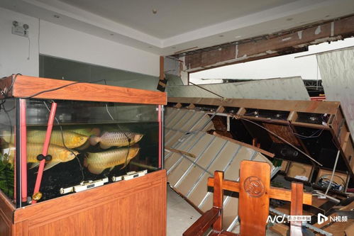 多圖俯瞰災后廣州鐘落潭鎮 廠房受損嚴重,屋頂鐵皮被掀飛